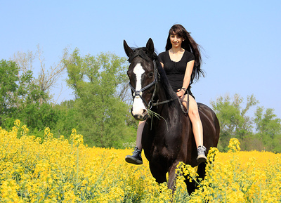 Reiten Reiten