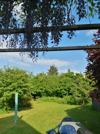 Ferienhaus Adendorf: Garten im Sommer 0001c.webp