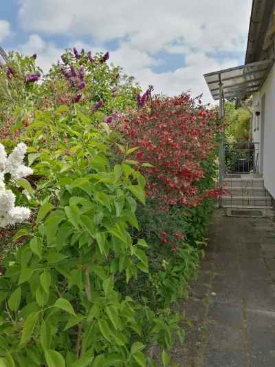 Ferienhaus Adendorf: Gästeeingang 0001d.webp